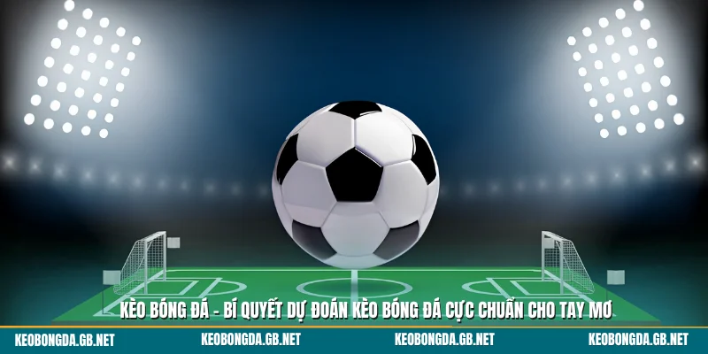 Làm sao để dự đoán tỷ số chính xác bạn biết chưa?