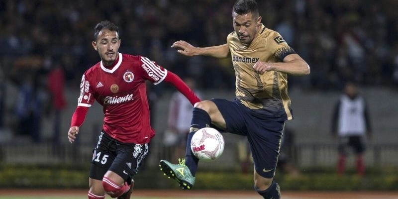 Soi Kèo Liga MX Mexico Hiệu Quả Nhất