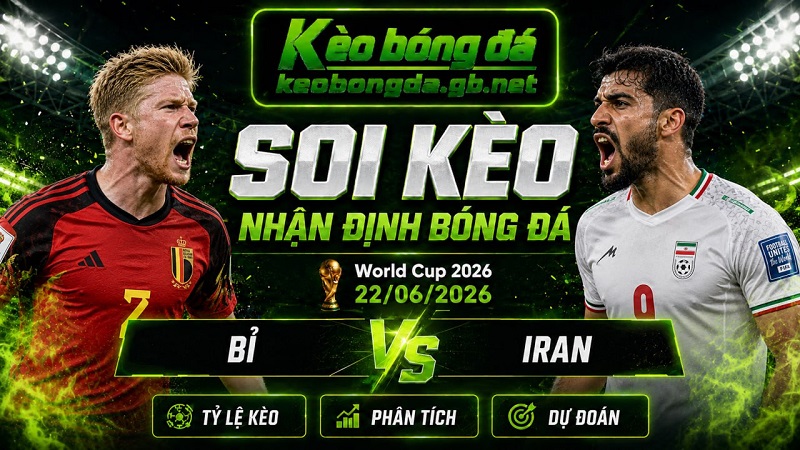 Đội hình dự kiến trước trận Bỉ và Iran Đội hình dự kiến trước trận Bỉ và Iran