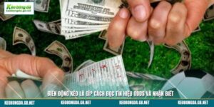 Biến Động Kèo Là Gì? Cách Đọc Tín Hiệu Odds Và Nhận Biết