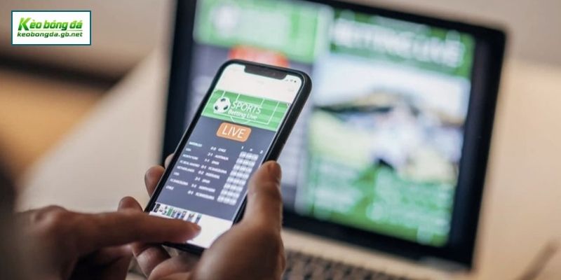Cách Nhận Biết "Kèo Thơm" Qua Biến Động Odds