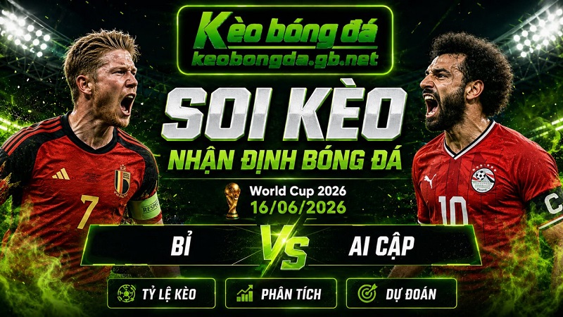 Đội hình dự kiến trước trận Bỉ và Ai Cập Đội hình dự kiến trước trận Bỉ và Ai Cập