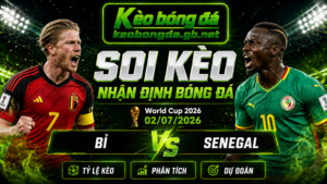 Đội hình dự kiến trước trận Bỉ và Senegal