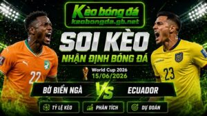 Đội hình dự kiến trước trận Bờ Biển Ngà và Ecuador