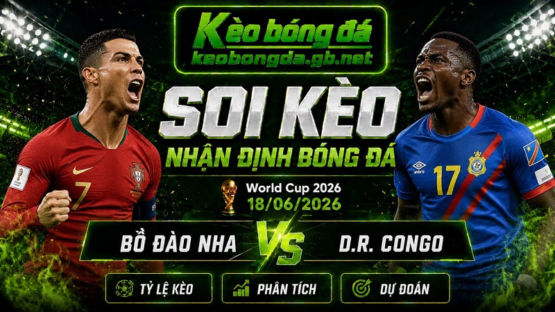 Đội hình dự kiến trước trận Bồ Đào Nha và D.R. Congo Đội hình dự kiến trước trận Bồ Đào Nha và D.R. Congo