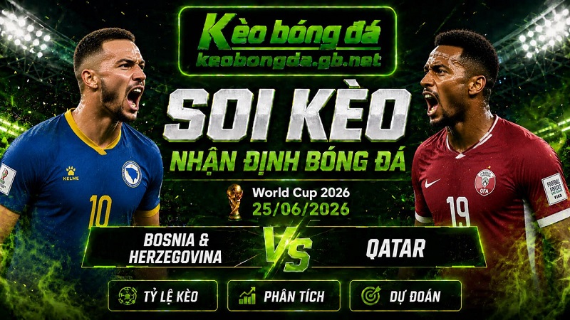 Đội hình dự kiến trước trận Bosnia & Herzegovina và Qatar Đội hình dự kiến trước trận Bosnia & Herzegovina và Qatar