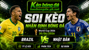 Đội hình dự kiến trước trận Brazil và Nhật Bả