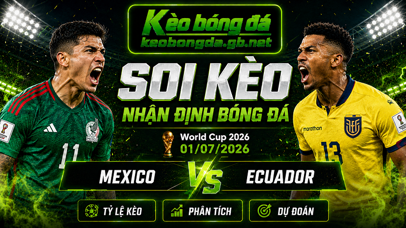 Đội hình dự kiến trước trận Mexico và Ecuador Đội hình dự kiến trước trận Mexico và Ecuador