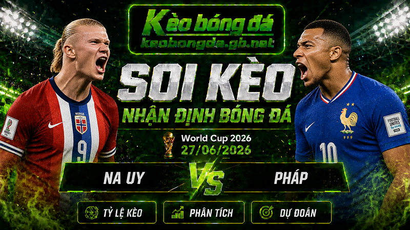 Đội hình dự kiến trước trận Na Uy và Pháp Đội hình dự kiến trước trận Na Uy và Pháp