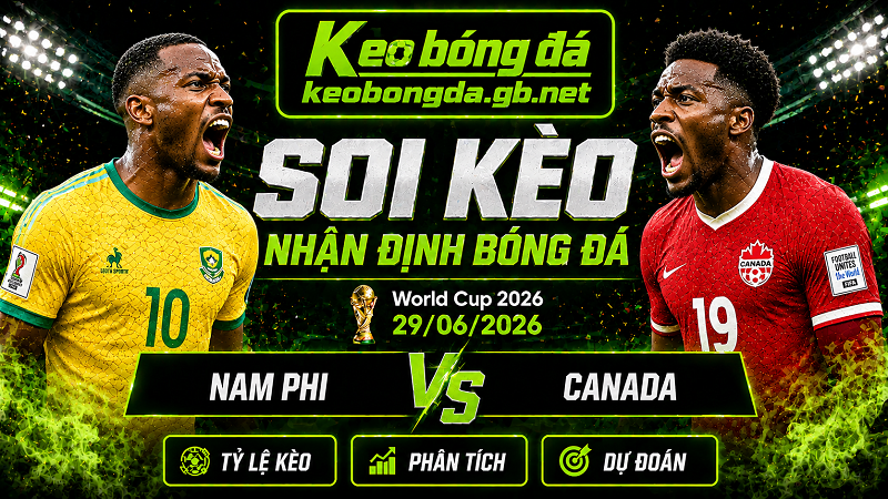 Đội hình dự kiến trước trận Nam Phi và Canada Đội hình dự kiến trước trận Nam Phi và Canada