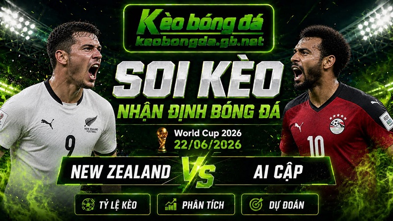 Đội hình dự kiến trước trận New Zealand và Ai Cập Đội hình dự kiến trước trận New Zealand và Ai Cập