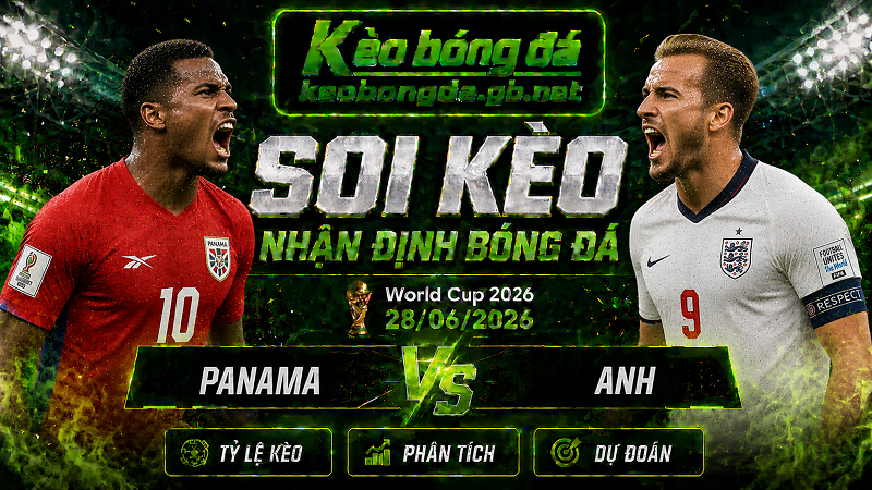 Đội hình dự kiến trước trận Panama và Anh Đội hình dự kiến trước trận Panama và Anh
