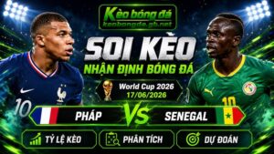Đội hình dự kiến trước trận Pháp và Senegal