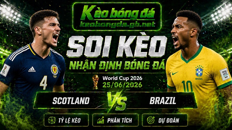 Đội hình dự kiến trước trận Scotland và Brazil Đội hình dự kiến trước trận Scotland và Brazil