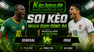 Đội hình dự kiến trước trận Senegal và Iraq