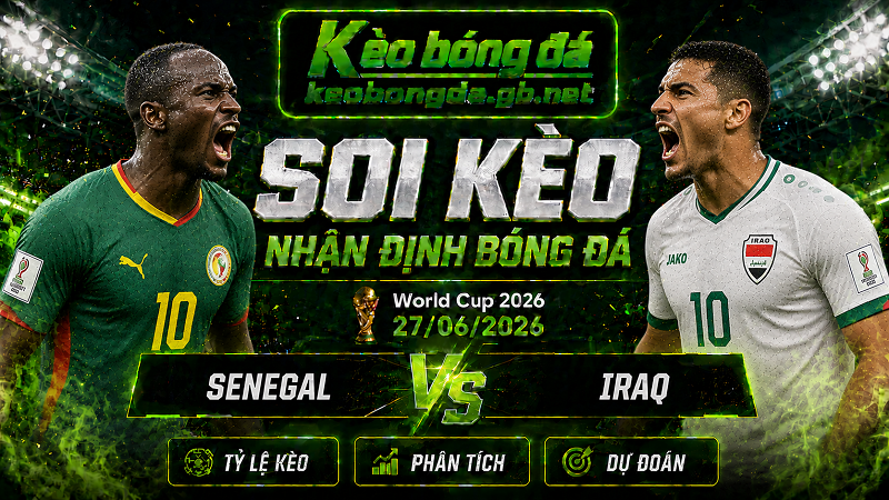 Đội hình dự kiến trước trận Senegal và Iraq Đội hình dự kiến trước trận Senegal và Iraq