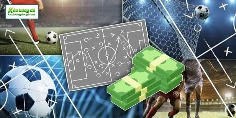 Kèo châu Á và đa dạng các hình thức cược người chơi có thể tham gia