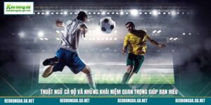 Thuật Ngữ Cá Độ Và Những Khái Niệm Quan Trọng Giúp Bạn Hiểu