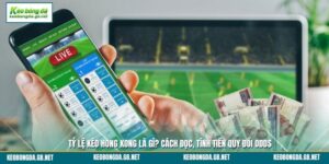 Tỷ Lệ Kèo Hong Kong Là Gì? Cách Đọc, Tính Tiền Quy Đổi Odds