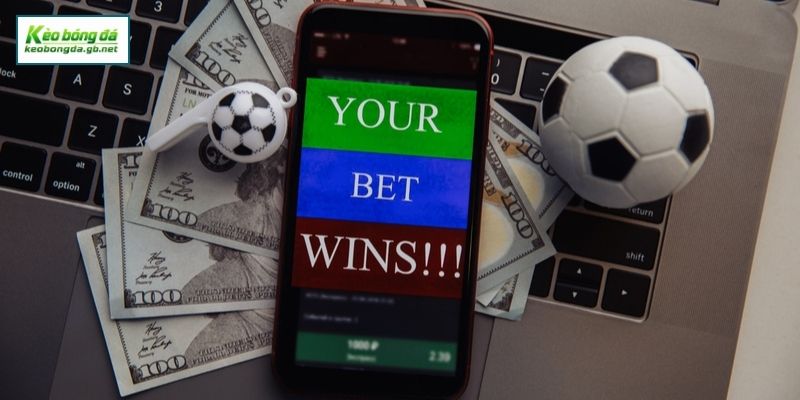 So Sánh Odds Hong Kong Với Các Loại Odds Khác