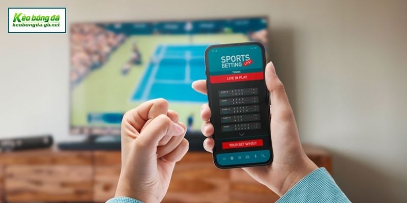 Phân Biệt Các Loại Tỷ Lệ Odds Phổ Biến Tại Kèo Bóng Đá
