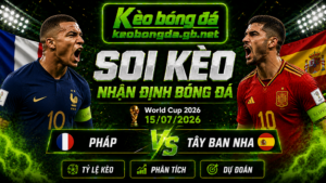 Đội hình dự kiến trước trận Pháp và Tây Ban Nha